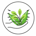 cropped image removebg preview 86.png
